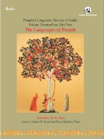 Orient The Languages of Punjab - Volume 24, Part 2 (PLSI)